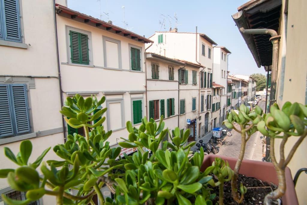 Romantic Apt In San Frediano 佛罗伦萨 外观 照片